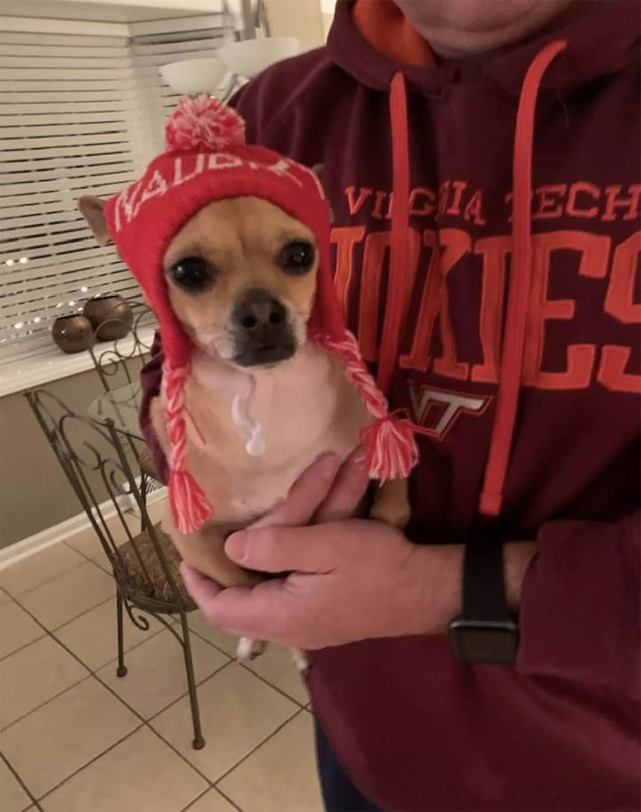 Gracie